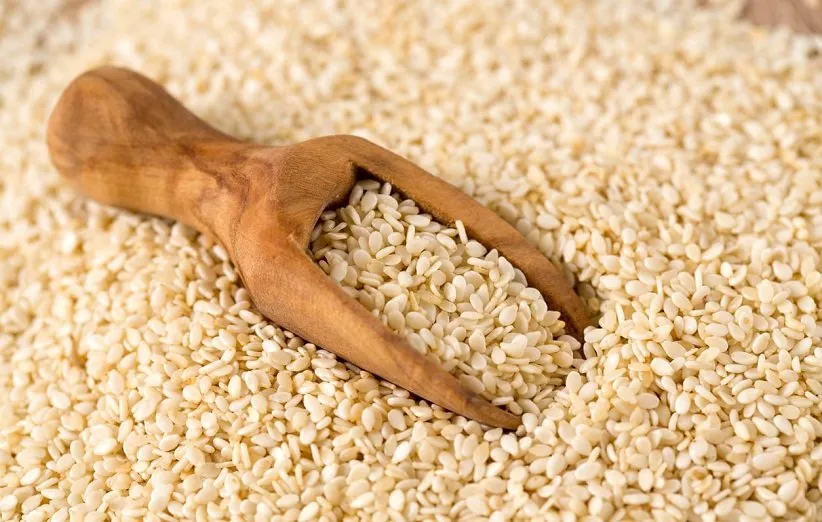 sesame-seeds کنجد پوستکنده سفید یوسفی - تصویر 1